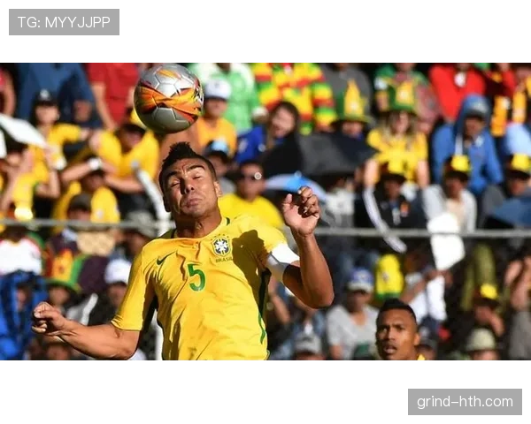 芬兰队长袖标闪耀赛场，凝聚团队精神共铸国家荣耀
